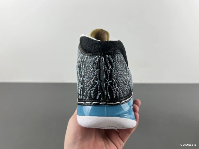 23 UNC Jordan 318376-041 0729